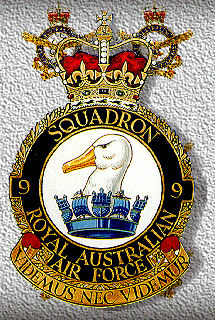 9 Sqn patch