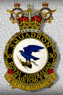 30 Sqn badge