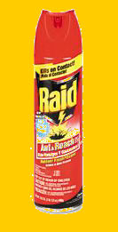 Raid insect spray