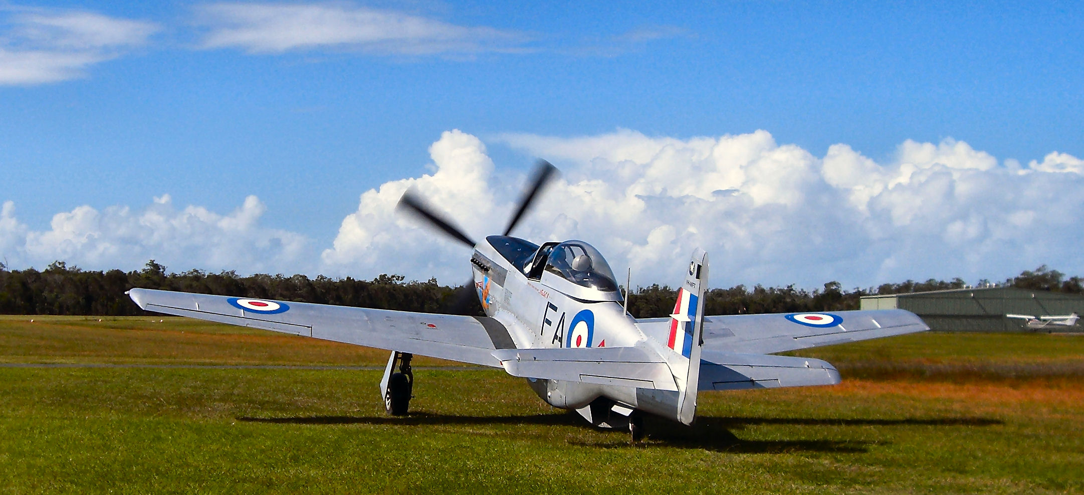 Caboolture Mustang