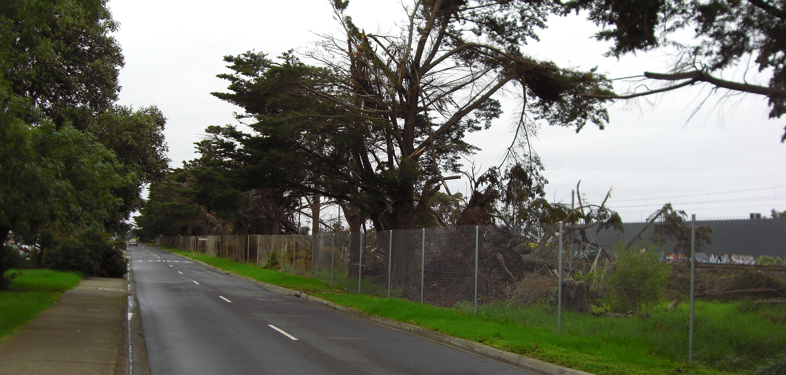 Storm Damage