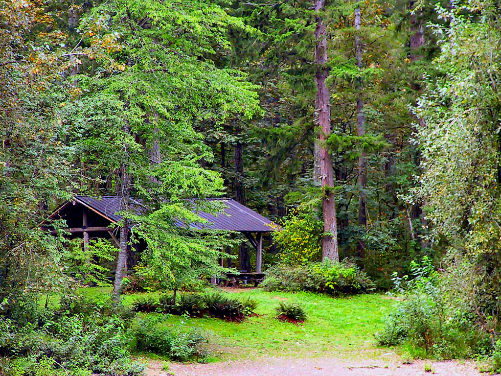 Forest
