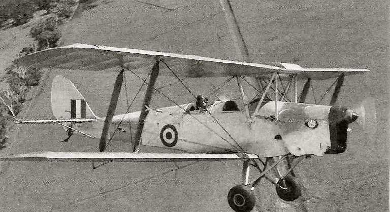 Tiger Moth