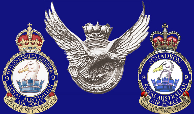 9 Sqn Logo