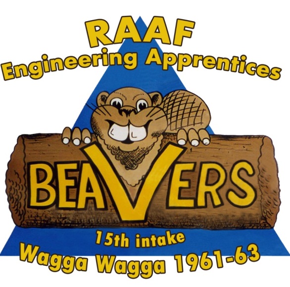 Beavers - 15th Intake, Wagga