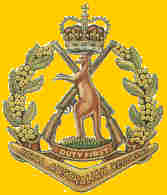 9 RAR Badge