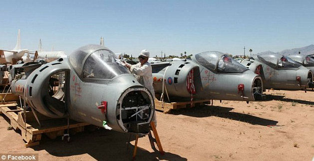 Harriers at the boneyard