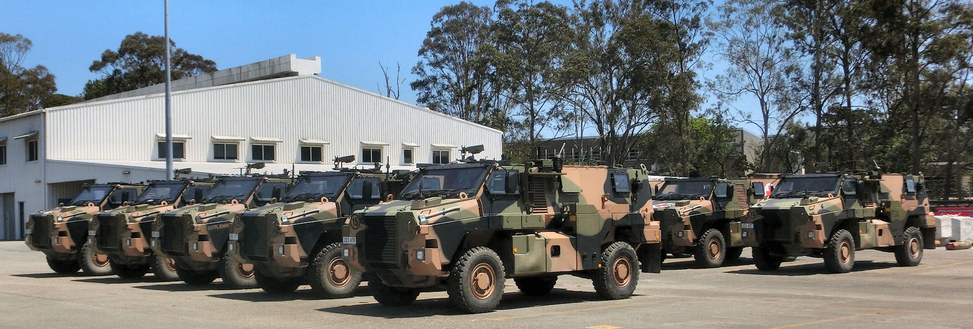 Bushmaster Vehicles