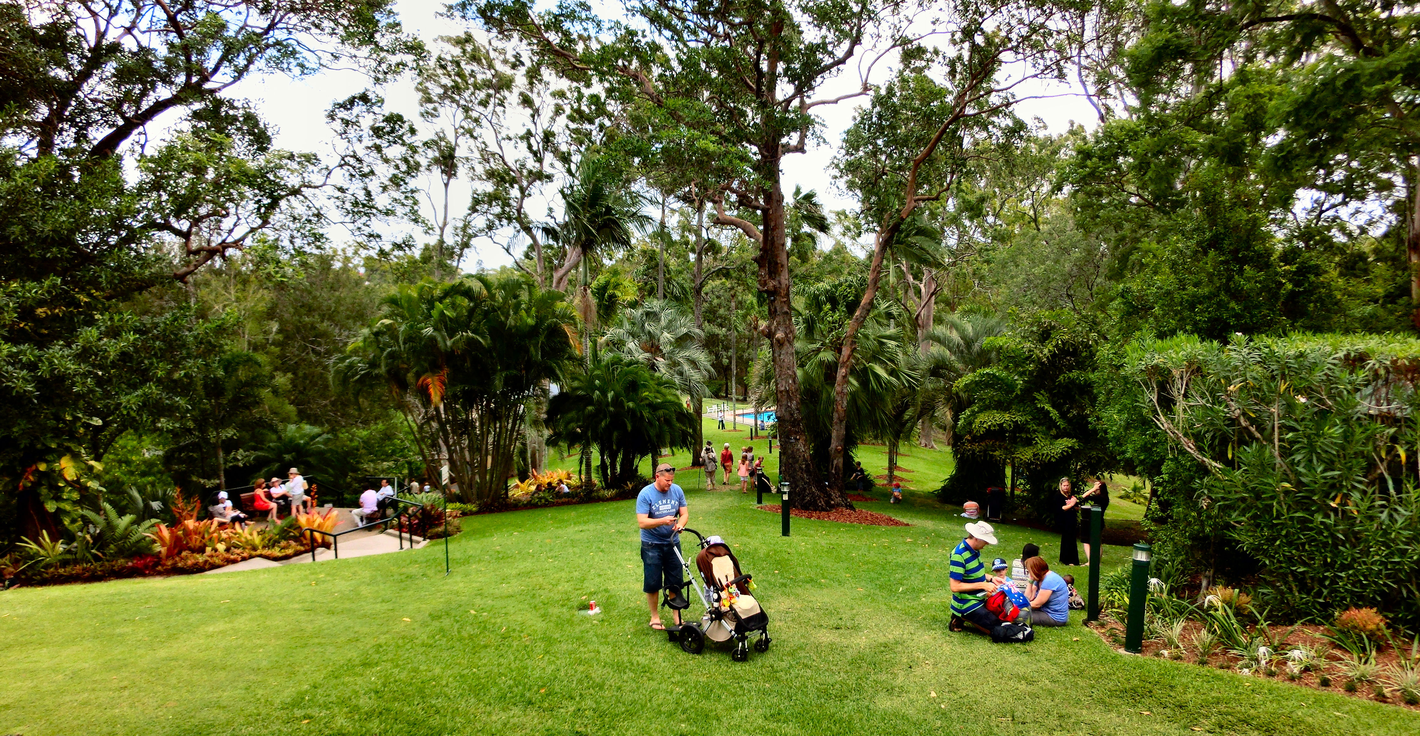 Fernberg gardens